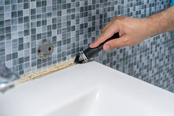 Best Black Mold Remediation in Clementon, NJ